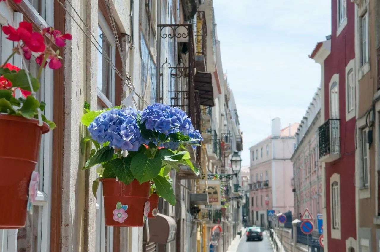 Charming City Centre Apartment Lisboa Portugal